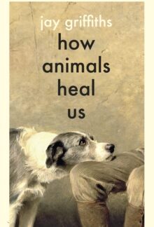How Animals Heal Us