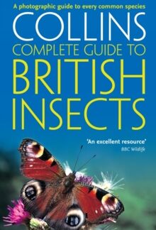 Collins Complete Guide to British Insects