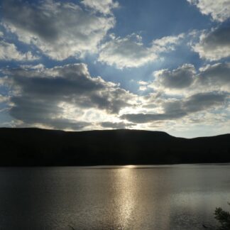 Reading the Wild/ Darllen y Gwyllt Lit Fest 9th & 10th May 2026