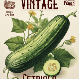 Cucumber Marketmore