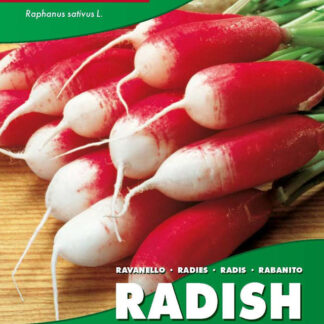 Radish Flamboyant